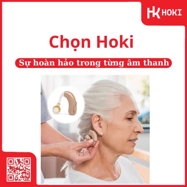 bán máy trợ thính Hoki 